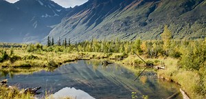 Newsroom | Ducks Unlimited