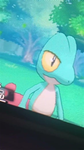 446 - Shiny Treecko?!?! #Pokémon #pokemon #shinypokémon #shinypokemon #shinyhunting #pokemonoras