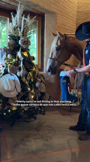 Filipe Masetti Leite on Instagram: "Merry Christmas 🎄🙏 #horse #cavaleirodasamericas #cavalo #thelongrider"