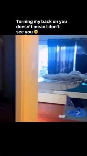 Petos on Instagram: "The United States has started an innovative project that turns something ordinary — walking your dog — into a source of renewable power. In 2025, the city of Austin, Texas became the first in the country to install PawPrint Power Paths, special walkways that generate electricity from footsteps and paw pressure. The idea is simple but brilliant. Each tile under the pavement is made with piezoelectric material, which means it can convert movement into energy. When a person or 