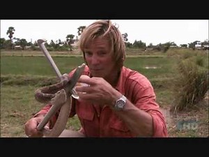 Austin Stevens in Search of the Flying Snake Part 4