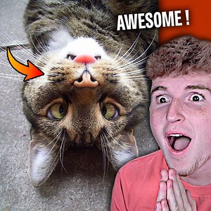 2.3M views · 22K reactions | Once You See It, You CAN'T Unsee It.. | Infinite | Facebook