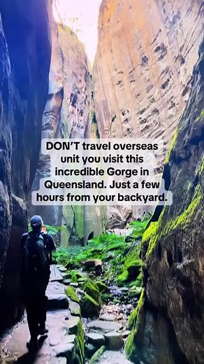 3.5K reactions · 291 shares | An 8hr road trip from Brisbane.  Next post coming tomorrow with details about all the hikes you can do at Carnarvon Gorge  | Surprise Road Trips | Facebook