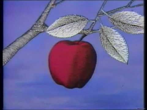 Newton's Apple early Intro/Theme