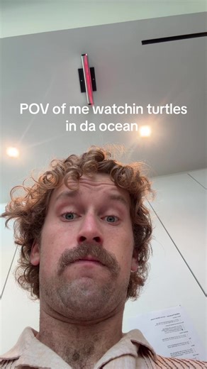 Turtles in the Ocean: A Close-Up Perspective