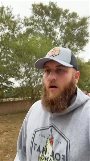 B&R Homestead | These goats are taking years off my life #homestead #foilhatgang #relatable #goats | Instagram