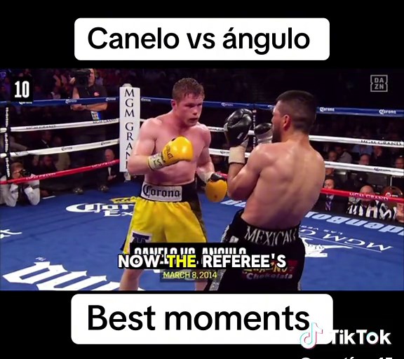 Canelo vs Angulo Fight Highlights and Key Moments