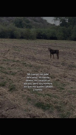 Videos de chepe (@el__chepe_) con “fine line - .”