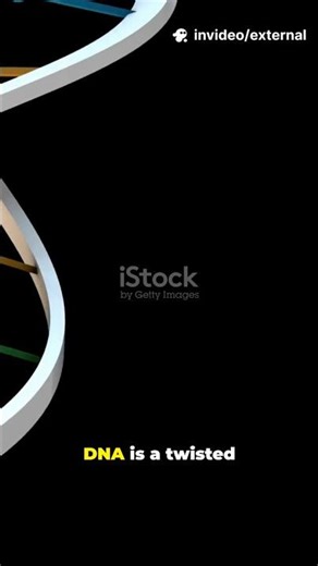 DNA Explained in 30 Seconds!!