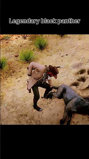 Legendary Black panther || location in red dead redemption 2