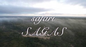 5K views · 256 reactions | Scuba Steve has finally found love! Yet having lived as a bachelor for most of his adult life, he finds himself needing to change his ways to accommodate his new female companion. | Wildearth | Facebook