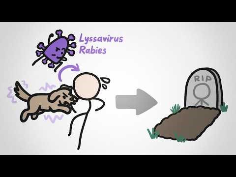 The Weird Reason Rabies Is So Deadly