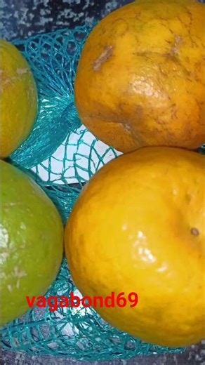 Rare Nagpur Orange World Famous Popular Food Vlog Blog Fruits exotic Delicious