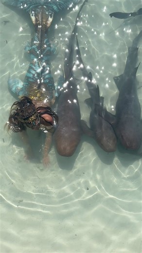 Mermaid and her sharks 🦈 #fantastycreature #professionalmermaid #mermaidtail #folklore #mermaid #siren #sharks #Fantasy tail by Merbella Studios Inc. | Mermaid Sirenity