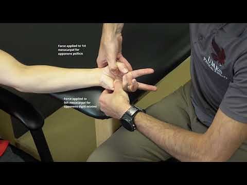 Manual Muscle Test Thumb Opposition