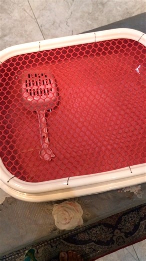 1.1K views · 18 shares | Rabbit Litterbox For your beloved bunny朗 #rabbitcare #everyoneシ゚ #everyone #highlights #everyonefollowers #MrAlex #flowers #funnyreels | Mr.Alex -The bunny | Facebook