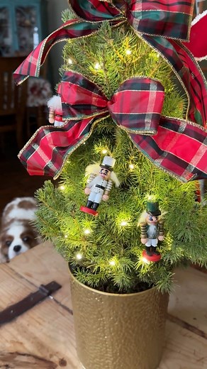 I’m absolutely obsessed with these live tabletop Christmas trees from Jackson & Perkins. 😍🎄 They’re perfect for holiday gifting and come in several different decor themes. 🤶🏻 You can even plant these beauties in your garden when the season is over for the gift that keeps on giving! Get 15% off your order at #jacksonandperkins with the code ROSETABLE15. Also spotted: Henry getting into the Christmas spirit 🐶🌲 #christmastrees #christmasdecor #christmasseason #holidayseason | The Rose Table