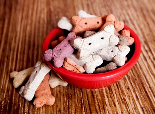 12 of the Best Treats for Great Danes - Great Dane Care