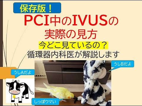 PCI中のIVUSの実際の見方(PCI中にどこをどう見るのか循環器内科医が解説します)