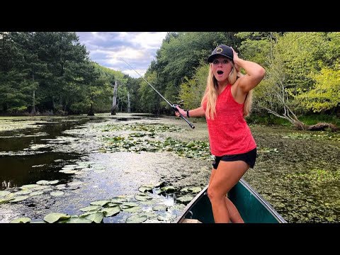 Aggressive fish found in loaded swamp for rare catch