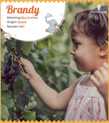 Brandy Name Meaning, History, Origin, And Popularity