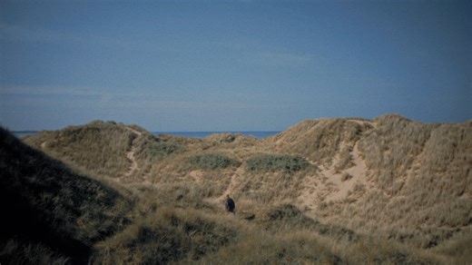 Sean Delahay on Instagram: "I make films about people living at the fringes of society, far away from our domesticated lives. I want my work to stir a deep remembering, a return to wholeness, through the lens of controversial and hidden ways of being. My focus around storytelling is one of transformation, growth and deep self inquiry. This is often contained within or metaphorically reflected by the natural world and things that compromise that feel like huge warning signs that we are going in t