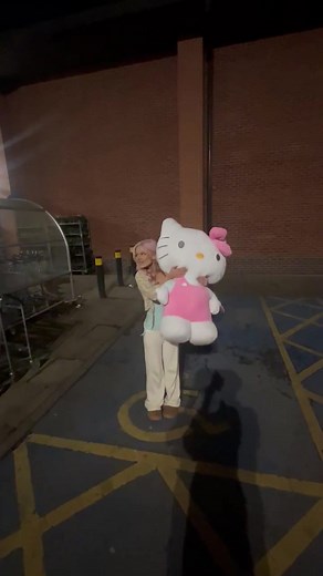 Hello Kitty Merchandise: Plushies, Bags, and More