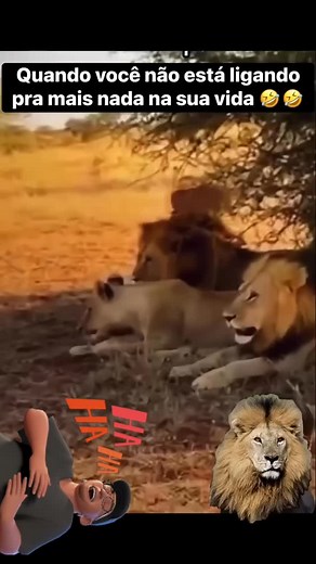 16K views · 111 reactions | #walking#música#game#motivacional#meme#ObrigadoMeuPai#DeusConosco | Junior Cabeça Kbass | Facebook