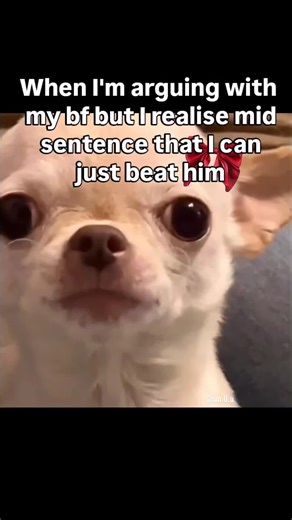 🤣😂 Follow for daily evil & hilarious memes ⭐ Official Evil Dog Meme Page Merch in my bio evildogofficial.com (Dark thoughts, don’t take the post seriously)