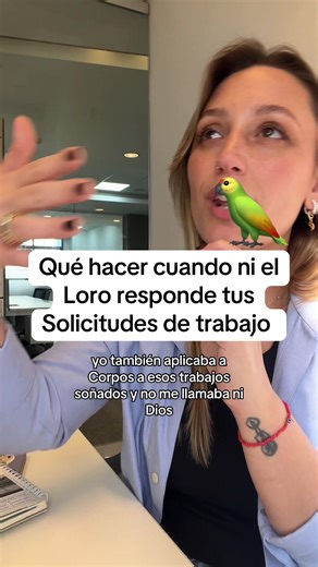 ¿Qué hacer cuando el loro no responde en LinkedIn?