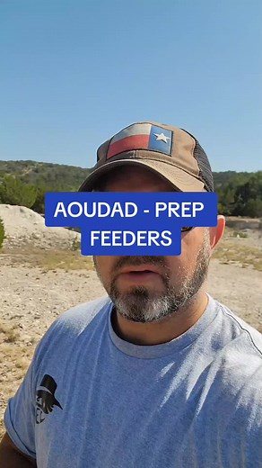 Exotic game hunting #exoticgame #texashunting #aoudad #texasexotic #hunting #texashunting