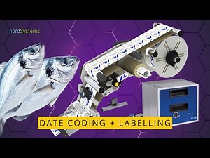 How High-Speed Coding and Labeling Work on Frozen Food Lines