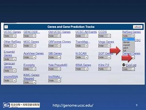 Genome Browser 사용법