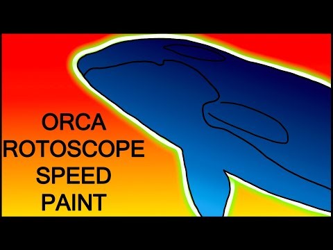 Animating a Rainbow Orca Frame by Frame | Rotoscope Speed Paint