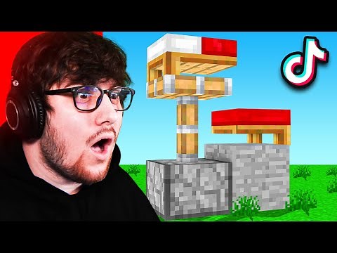 12 TIKTOK MINECRAFT HACKS that ACTUALLY WORK!