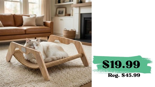 50% Off Elevated Cat Scratcher Bed | Just $19.99 w/ Code!