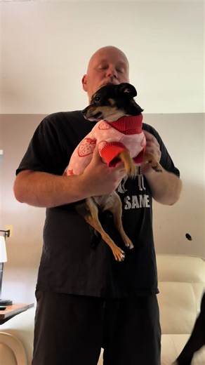 Knitted dog sweater with strawberries super soft, must have dog clothing for winter. #dogclothes #dogfashion #dogowner #petproducts