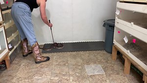 4K views · 57 reactions | Eastern diamondback rattlesnake ( Crotalus adamanteus) | Kentucky Reptile Zoo | Facebook