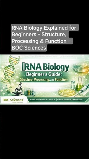 RNA Biology Explained for Beginners - Structure, Processing & Function - BOC Sciences