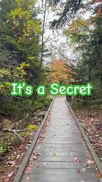 It's a Secret: Cranberry Glades Boardwalk