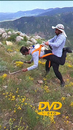 DVD Video on Instagram: "Original by @bizimkii2 📀A DVD Video is a digital optical disc format that was the primary medium for distributing and watching movies at home from the late 1990s through the 2000s, effectively replacing the VHS tape. In simple terms, it's a disc, similar in size to a CD, designed specifically to store and play back video content on a DVD player or a computer with a DVD drive. Key characteristics of a DVD Video include: * Digital Format: Unlike VHS tapes, which were anal