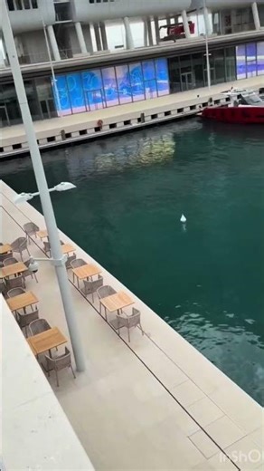 Monte Carlo, no rush❤️ Matin calme à Monte-Carlo
