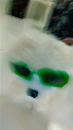 25 de novembro de 2025