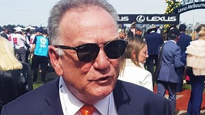 $80m collapse of Cup winner’s building firm hits subbies