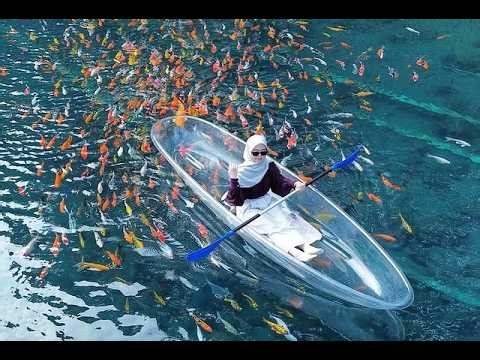 Cipanten Lake The Ultimate Hidden Gem You Must Visit in West Java, Indonesia