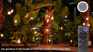 Brightever LED Outdoor String Lights with Remote, 100FT Commercial Grade Waterproof Outdoor Patio Lights, 30+2 ST38 Dimmable Edison Bulbs, 2700K Warm White Rope Light for Outside, Low Voltage 24V - Amazon.com