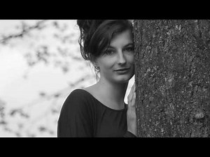 Peter Sebastian - Der Brief (Can You Hear The Dogs Barking)