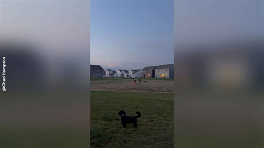Dog’s Near-Miss With Firework Seconds Before Launch