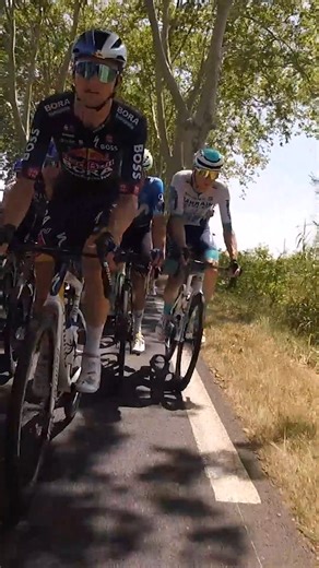 600K views · 4.1K reactions | Jump inside the peloton for a fierce Stage 16 sprint  Watch Tour de France on-bike race highlights on Road Code: https://goto.roadcode.cc/rcfb | Velon CC | Facebook