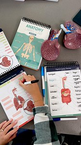 2.2K views · 202 reactions | The anatomy study hack that finally makes it click! 易 #nursingschool #healthcarestudent #anatomy #anatomyclass #nursingnotes #studyhacks | Nurse In The Making | Facebook